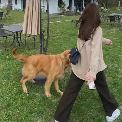 心脏搏动操作剧